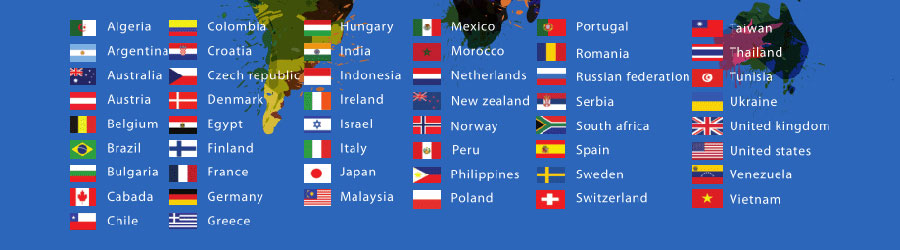 谷歌付费广告小语种网站建设  第1张